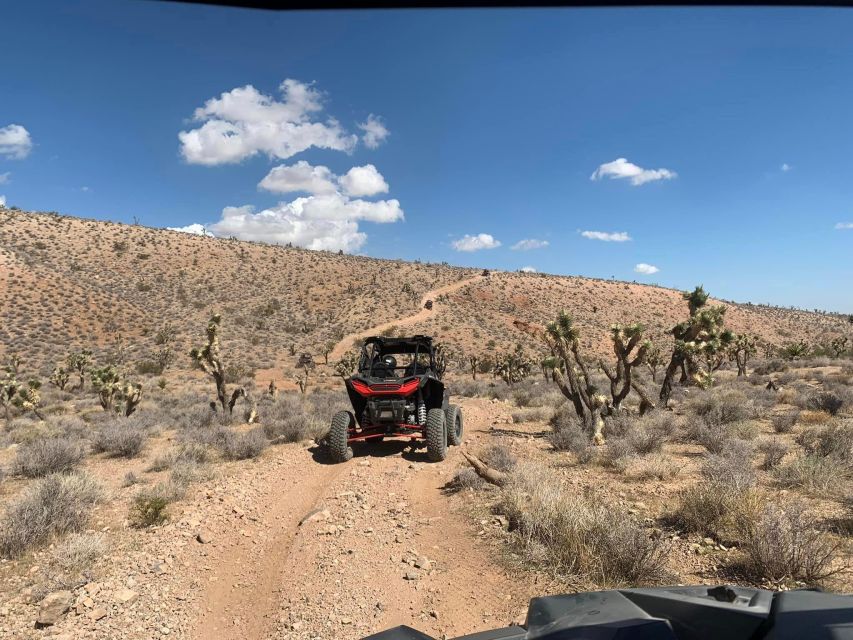 Las Vegas Mojave Desert Adventure - Guided Tour - Vehicle & Safety Information