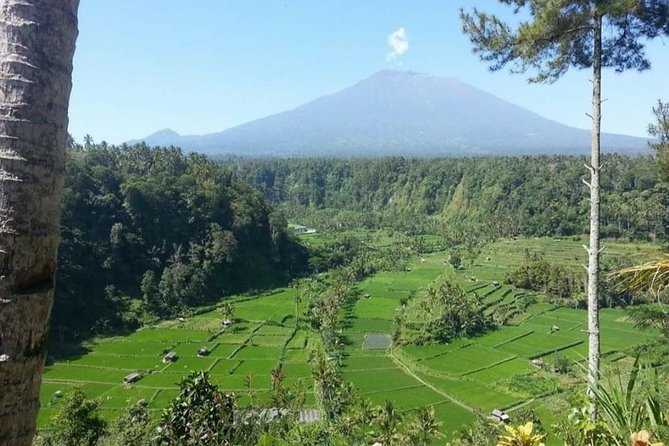 Lempuyang Tirta Gangga Bat Cave East Bali Private Guided Tour - Traveler Photos