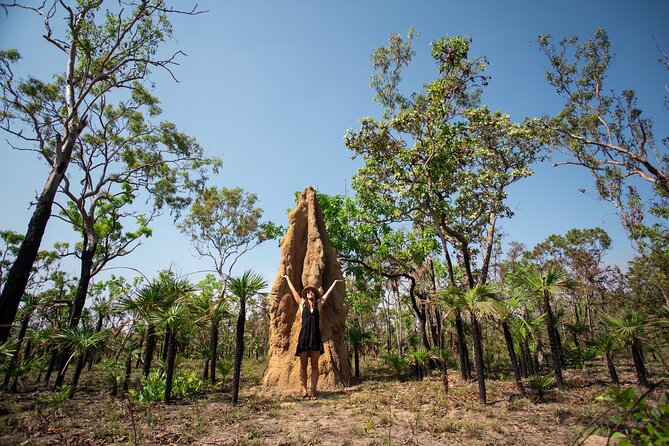 Litchfield National Park & Fogg Dam or Crocodile Cruise - Day Trip From Darwin - Fogg Dam Exploration Option