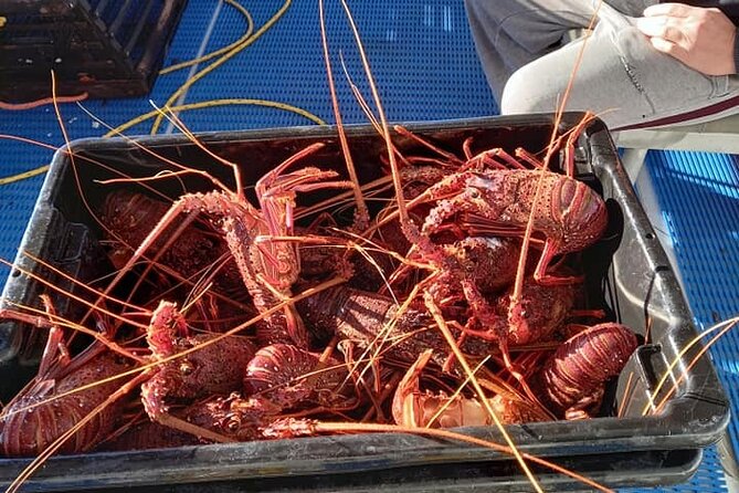 Lobster Fishing Tour at Geraldton - Directions