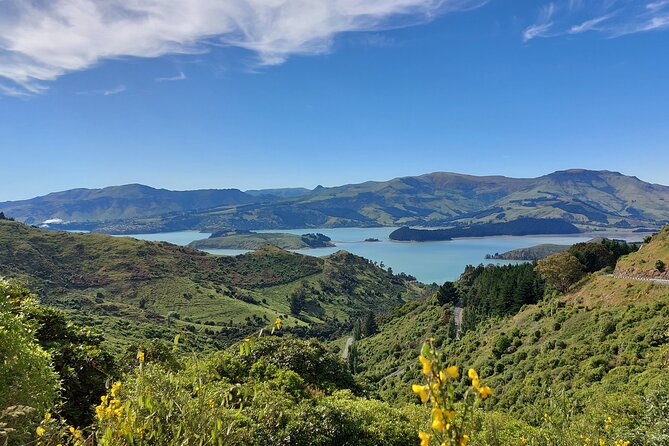 Lyttelton Shore Excursion: Christchurch Sightseeing With Antarctic Center - Common questions