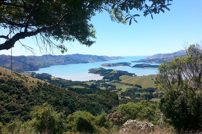 Lyttelton Shore Excursion -Guided Hiking Tour Packhorse Hut - Cancellation Policy