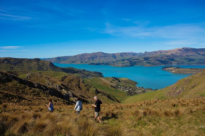 Lyttelton Shore Excursion - Guided Walking Tour and Picnic - Additional Details