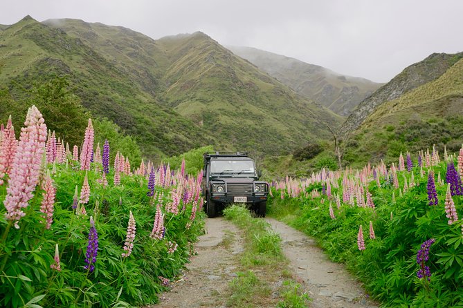 Macetown 4WD Tour From Queenstown - Traveler Reviews and Ratings