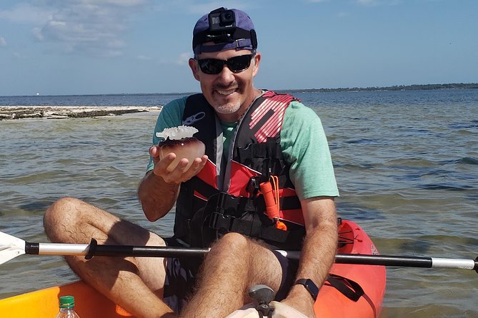Manatee and Dolphin Kayaking Haulover Canal (Titusville) - Common questions