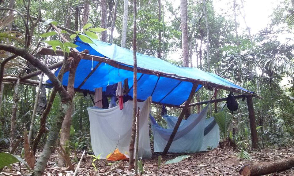 Manaus: Multi-Day Amazon Survival Trip With Camping - Tips for a Memorable Amazon Survival Trip