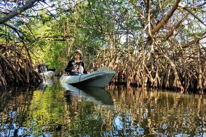 Mangrove Tunnels, Manatee, and Dolphin Sunset Kayak Tour With Fin Expeditions - Experienced Guides and Wildlife Sightings