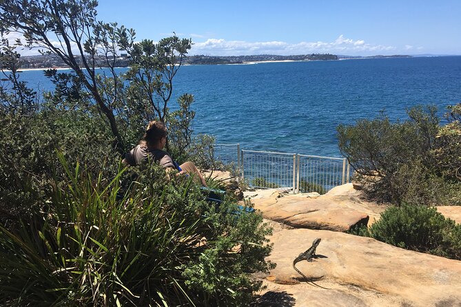 Manly Snorkel Trip and Nature Walk With Local Guide - Common questions