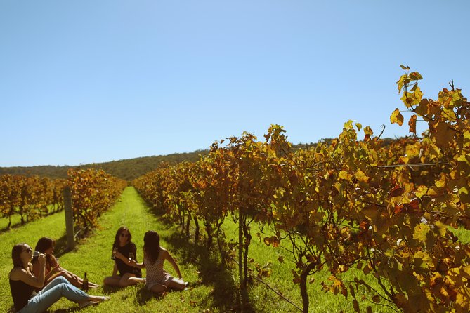 Margaret River Kayaking and Winery Tour - Booking and Pricing