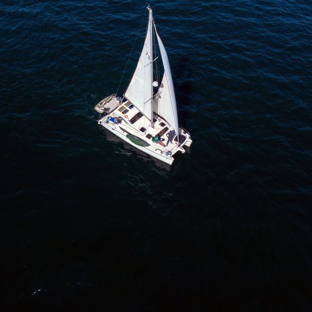 Marina Del Rey : 4 Hour Private Catamaran Sailboat Charter - Sum Up