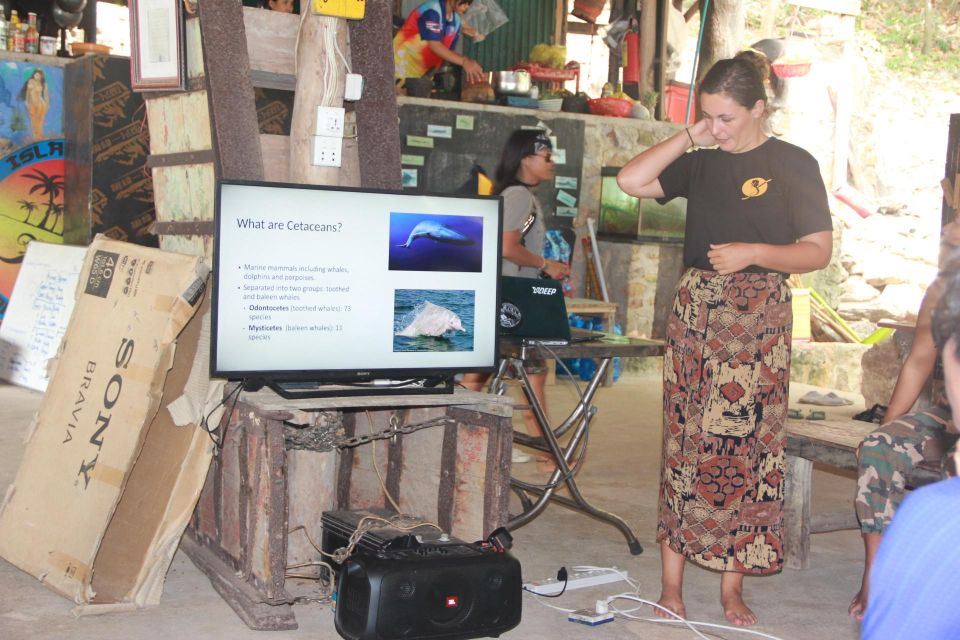 MARINE CONSERVATION INSIGHT by Discovery Center, Kep West - Location Experience