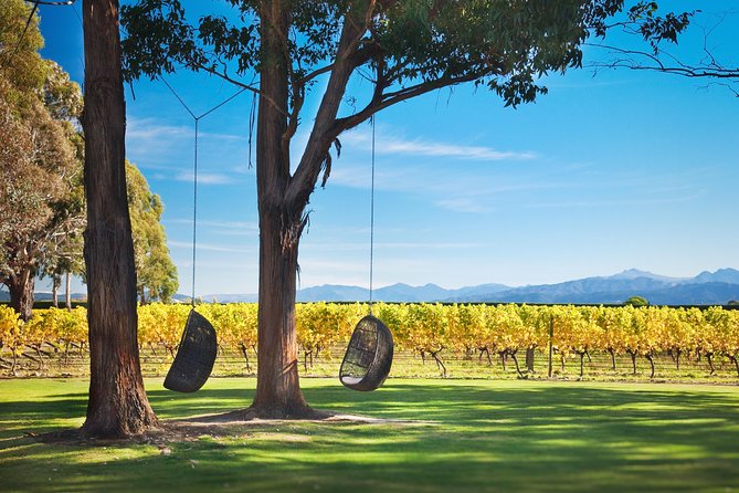 Marlborough Icons Tour - Wine Tasting Cruise - Important Information