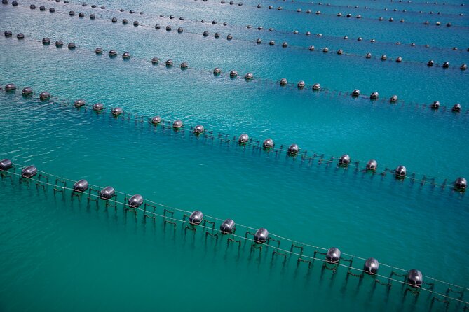 Marlborough Sounds Greenshell Mussel Tasting Cruise - Understanding the Cancellation Policy