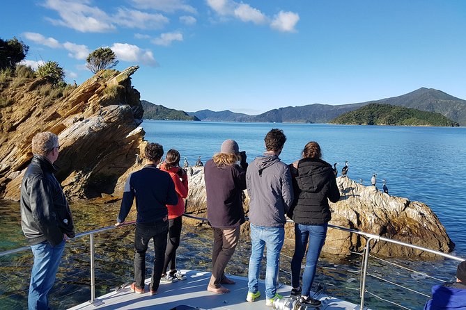Marlborough Sounds Ultimate Cruise - Expert Guides and Crew
