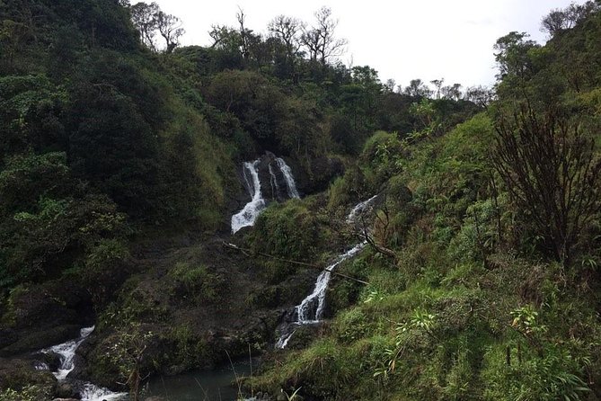 Maui Tour : Road to Hana Day Trip From Kahului - Common questions