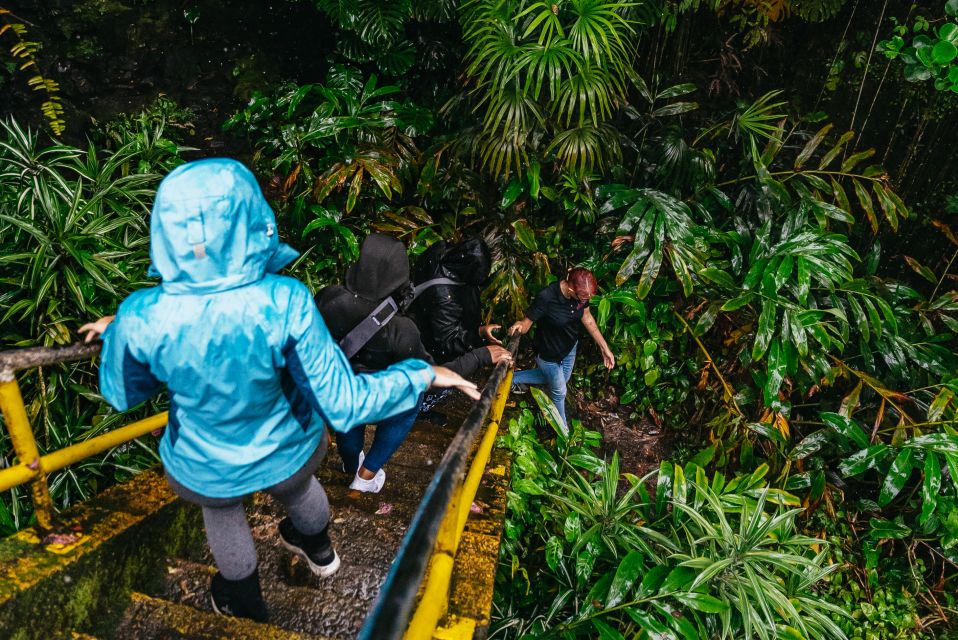 Mauna Kea: Stellar Explorer Tour From Hilo - Background Information