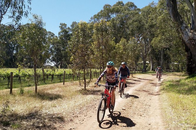 McLaren Vale Wine Tour by Bike - Overall Impressions