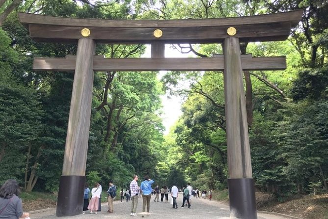 Meiji Jingu Shrine Half-Day Tour by Public Transportation - Transportation Specifics