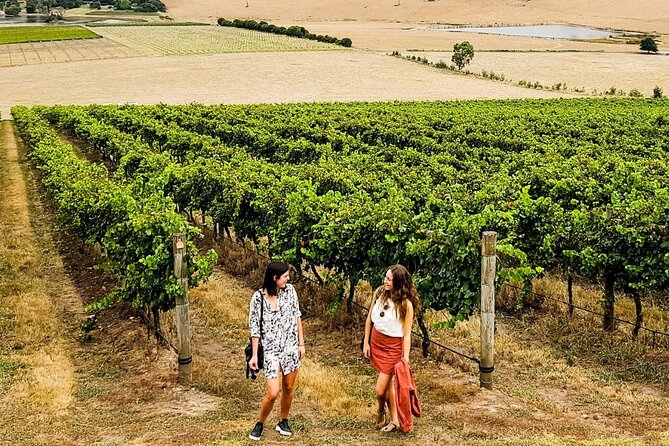 Melbourne: Premium Yarra Valley Wines, Chandon & 2-Course Lunch - Booking Information