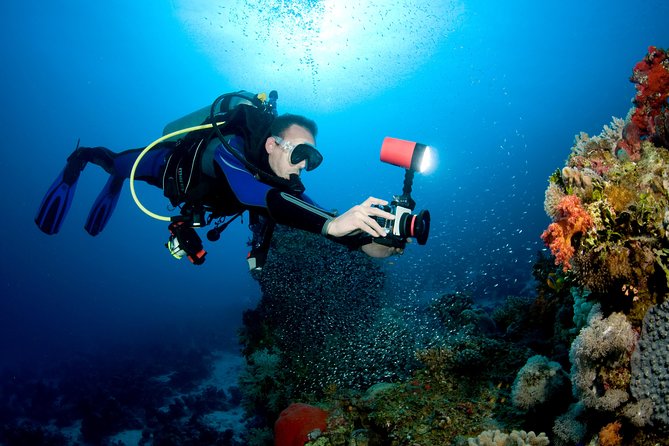 Menjangan Island for Certified Scuba Divers Full Day Boat Trip, 2 Dives Lunch - Booking Requirements