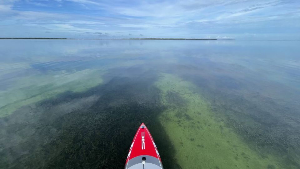 Miami: Everglades National Park Hiking and Kayaking Day Trip - Common questions
