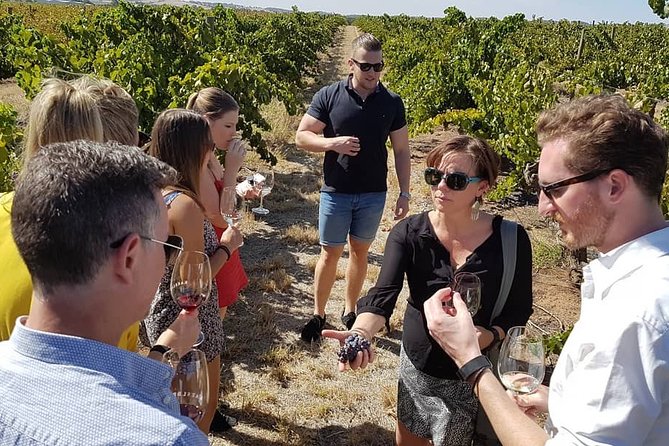 Micro-Group Barossa Valley Wine Tour From Adelaide - Reviews and Ratings