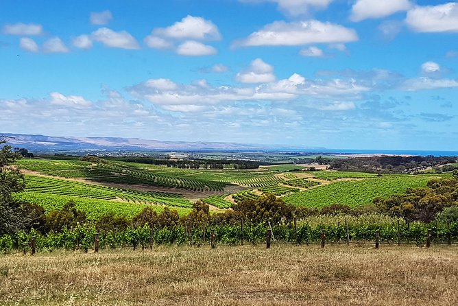 Micro-Group Mclaren Vale Wine Tour From Adelaide - Transparent Pricing & Policies
