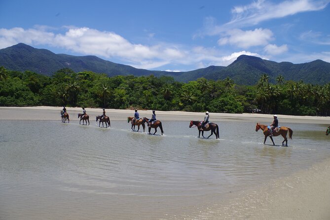 Mid-Morning Beach Horse Ride in Cape Tribulation - Contact Information