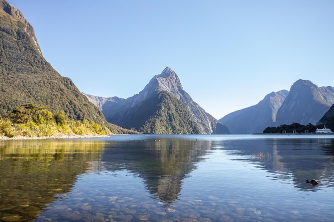 Milford Sound Small Group Tour From Queenstown With Scenic Flight - Common questions