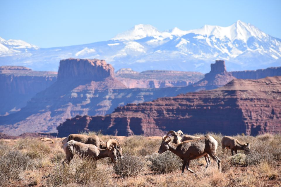 Moab: Canyonlands National Park 4x4 White Rim Tour - Directions and Meeting Point