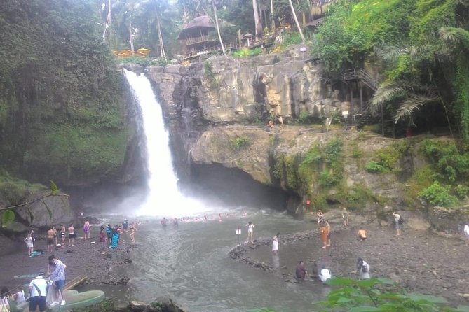 Monkey Forest, Ubud, and Rice Terraces - Coffee Plantation Tour Experience