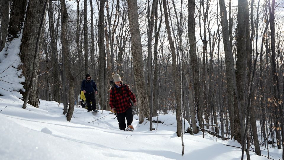 Mont-Tremblant: Fire Man Guided Snowshoe Tour - Important Information for Participants