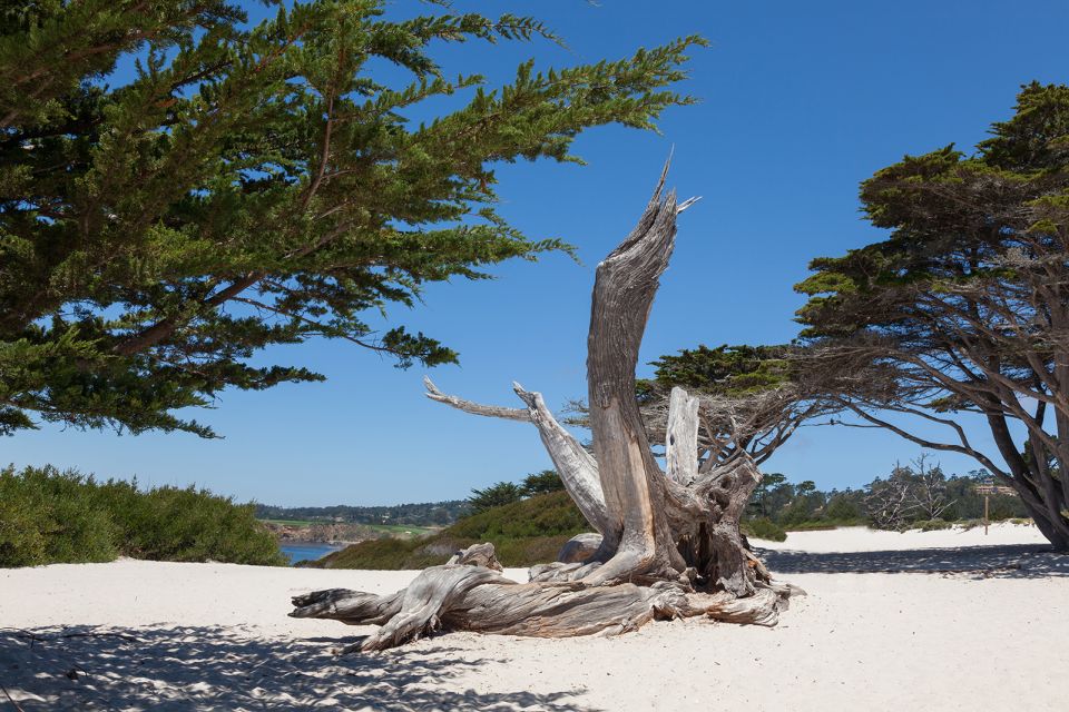 Monterey, Carmel, 17 Mile Dr, Big Sur & Mcway Falls Pvt Tour - Customer Reviews