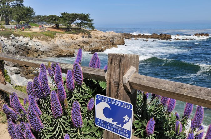Monterey, Carmel and 17-Mile Drive: Full Day Tour From SF - Host Responses and Customer Service