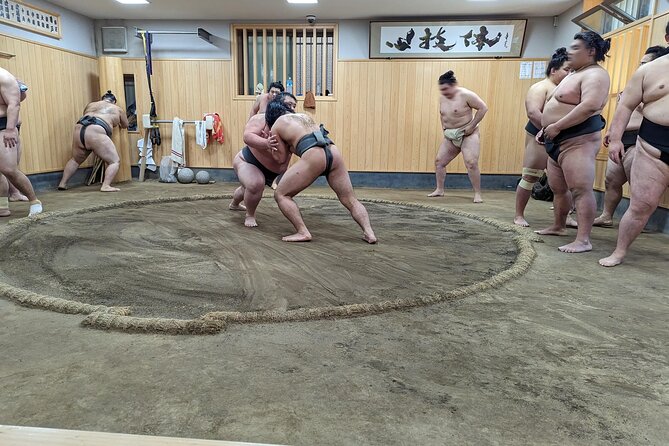 Morning Sumo Practice Viewing in Tokyo - Additional Information