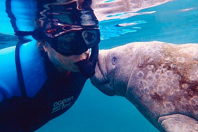 Morning Swim and Snorkel With Manatees-Guided Crystal River Tour - Captain and Crew Interaction