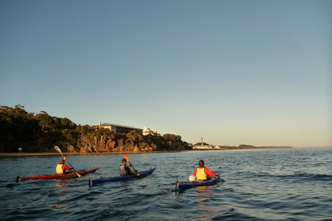 Mornington Peninsula Kayak Coastline Tour of Dolphin Sanctuary - Inclusive Package Details