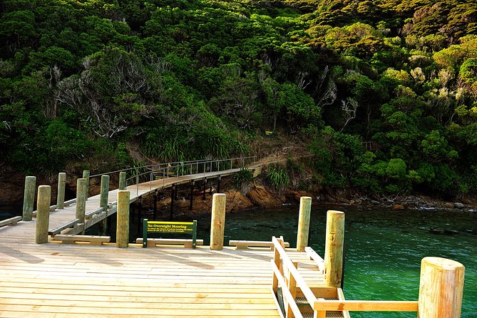 Motuara Island Bird Sanctuary and Ship Cove Cruise From Picton - Departure Details