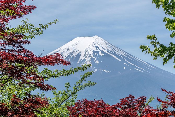 Mount Fuji Day Trip From Tokyo With a Local: Private & Personalized - Additional Resources