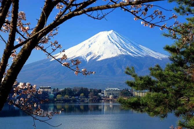 Mount Fuji & Hokane Lakes With English-Speaking Guide - Key Points