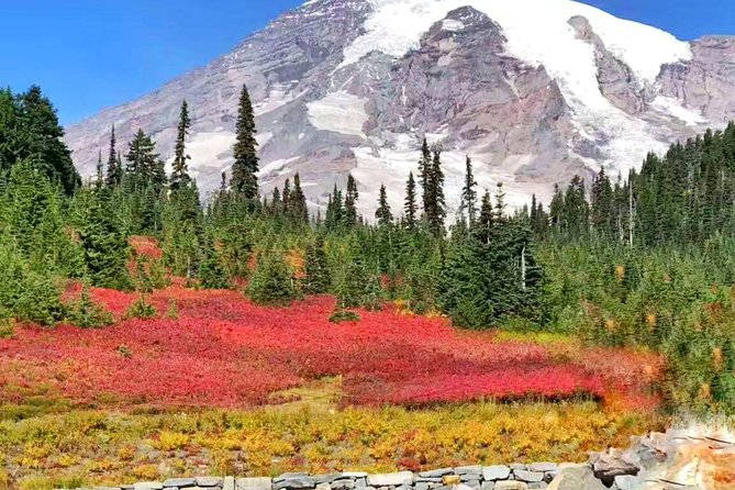 Mount Rainier National Park Day Tour From Seattle - Tour Logistics and Transportation