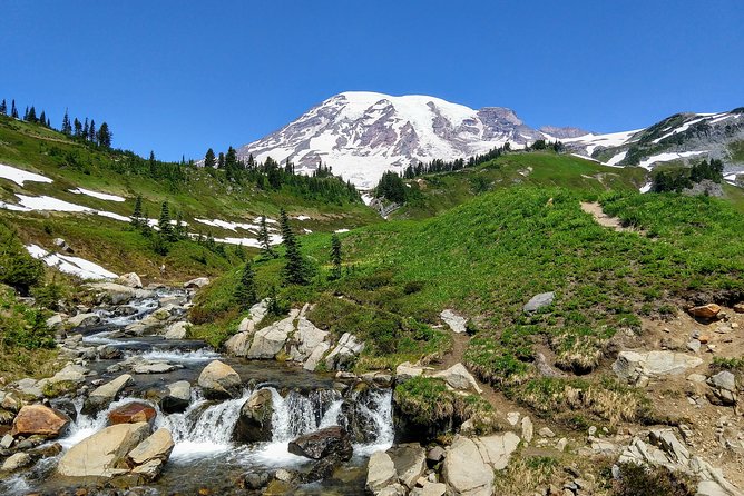 Mount Rainier National Park Luxury Small-Group Day Tour With Lunch - Tour Location and Transportation