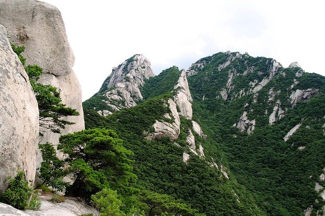 Mt Bukhansan National Park Hiking Tour - Customer Reviews