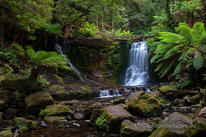 Mt Field and Styx Valley Photography Tour - Cancellation Policy