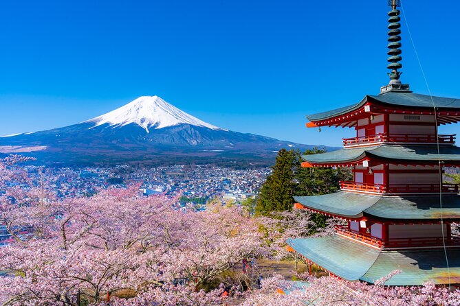 Mt. Fuji Cherry Blossom One Day Tour From Tokyo - Lunch Options