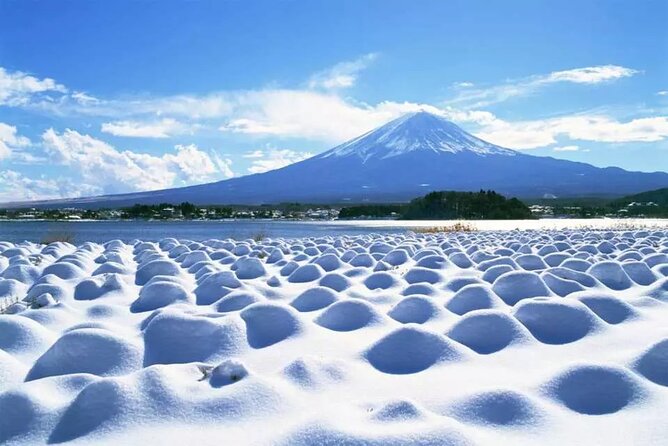 Mt.Fuji Tour: 3-Parks & The Healing Village in Fujiyoshida, Japan - Sum Up