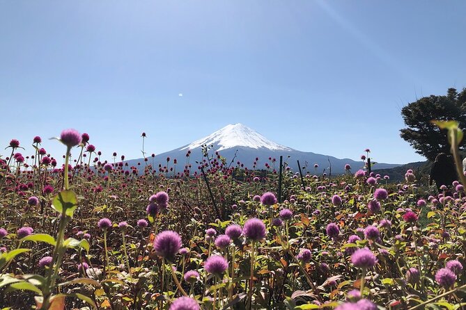 Mt Fuji With Kawaguchiko Lake Day Tour - Common questions
