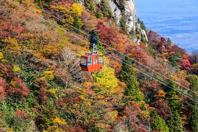 Mt. Gozaisho Ropeway,Nabana No Sato for Illumination and Begonia Garden! - Operational Information and Support Services