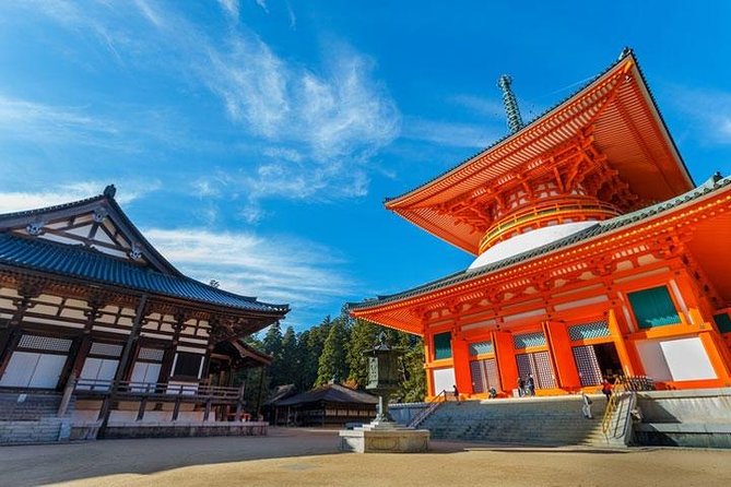 Mt. Koya Sacred Half-Day Private Tour With Government Licensed Guide - Sum Up