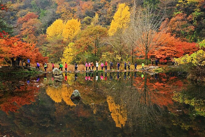 Mt. Naejang Autumn Foliage and Jeonju Hanok Village 1 Day Tour - Contact and Support Information